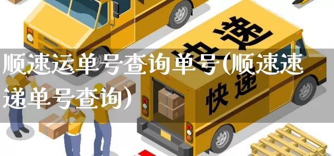 顺速运单号查询单号(顺速速递单号查询)_https://www.senxinmaoyi.com_快递查询_第1张