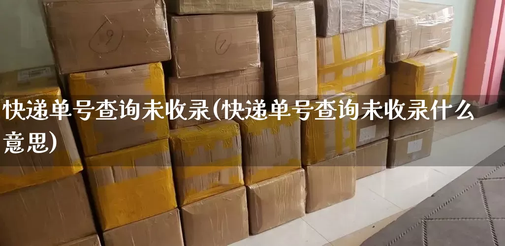 快递单号查询未收录(快递单号查询未收录什么意思)_https://www.senxinmaoyi.com_物流单号_第1张