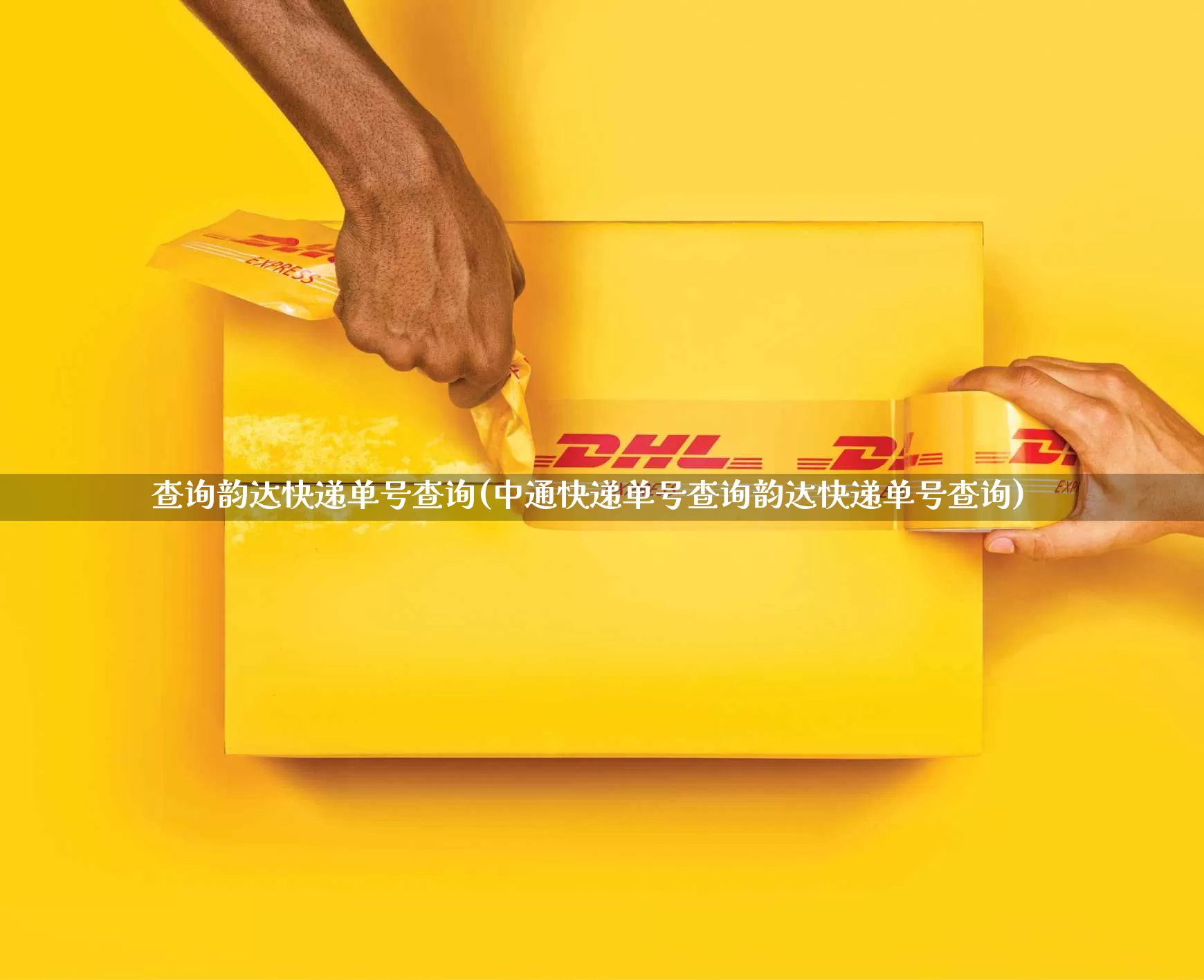 查询韵达快递单号查询(中通快递单号查询韵达快递单号查询)_https://www.senxinmaoyi.com_邮政编码_第1张