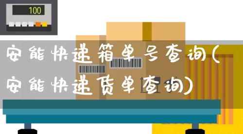 安能快递箱单号查询(安能快递货单查询)_https://www.senxinmaoyi.com_物流单号_第1张
