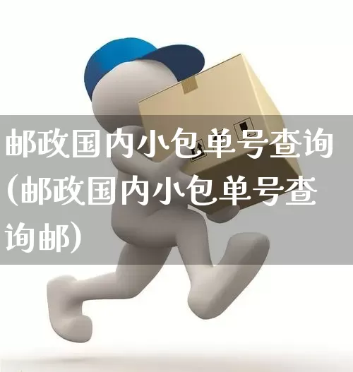 邮政国内小包单号查询(邮政国内小包单号查询邮)_https://www.senxinmaoyi.com_邮政编码_第1张