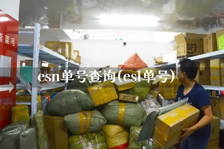 esn单号查询(esl单号)_https://www.senxinmaoyi.com_物流查询_第1张