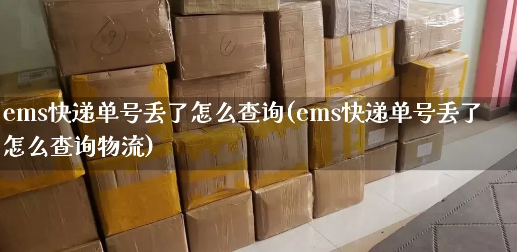 ems快递单号丢了怎么查询(ems快递单号丢了怎么查询物流)_https://www.senxinmaoyi.com_物流单号_第1张
