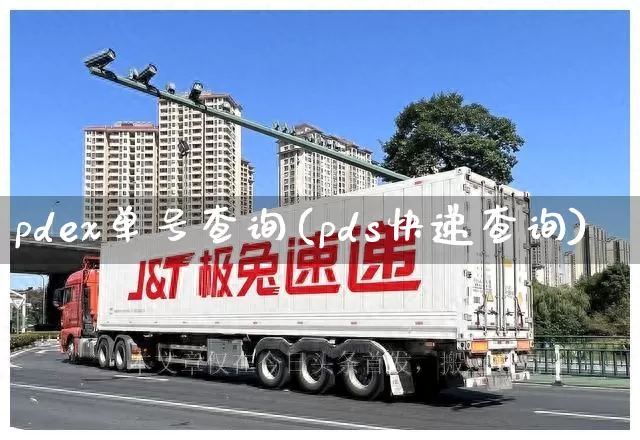 pdex单号查询(pds快递查询)_https://www.senxinmaoyi.com_物流查询_第1张