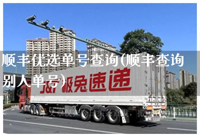 顺丰优选单号查询(顺丰查询别人单号)_https://www.senxinmaoyi.com_物流单号_第1张