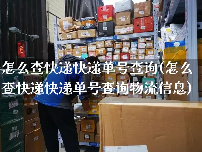 怎么查快递快递单号查询(怎么查快递快递单号查询物流信息)_https://www.senxinmaoyi.com_物流单号_第1张