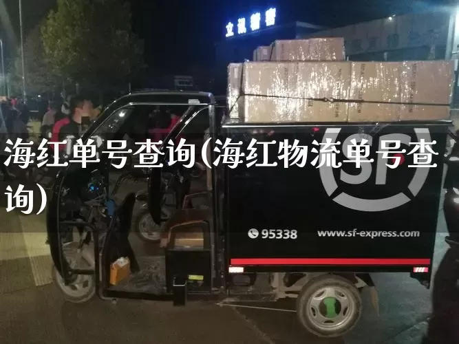 海红单号查询(海红物流单号查询)_https://www.senxinmaoyi.com_物流单号_第1张