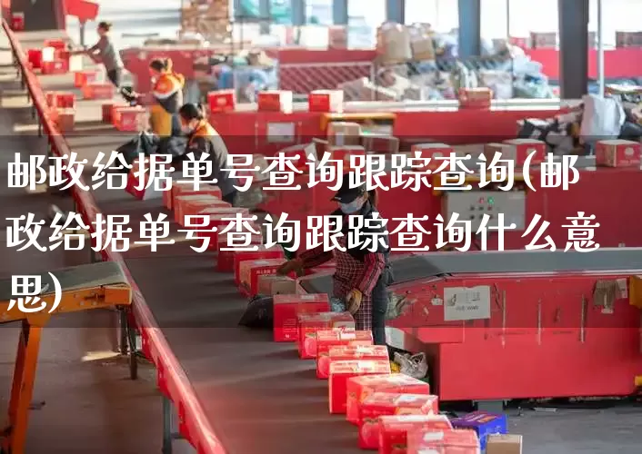 邮政给据单号查询跟踪查询(邮政给据单号查询跟踪查询什么意思)_https://www.senxinmaoyi.com_物流单号_第1张