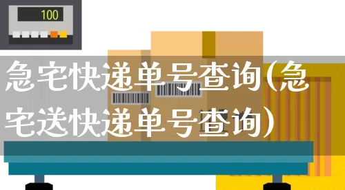 急宅快递单号查询(急宅送快递单号查询)_https://www.senxinmaoyi.com_快递查询_第1张