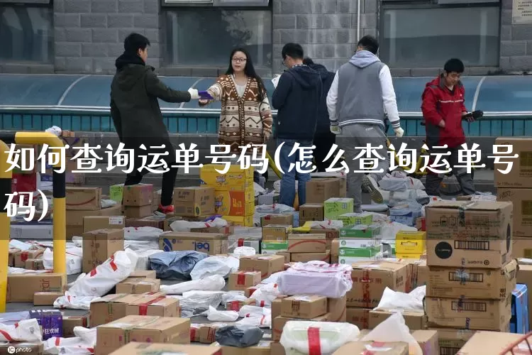 如何查询运单号码(怎么查询运单号码)_https://www.senxinmaoyi.com_物流单号_第1张