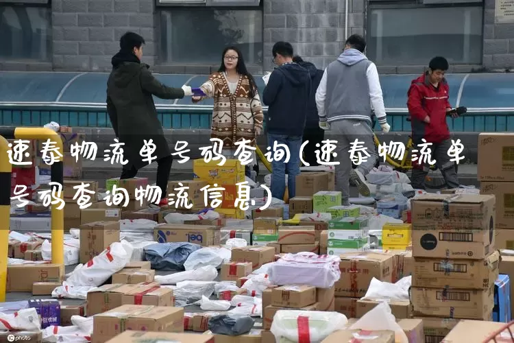 速泰物流单号码查询(速泰物流单号码查询物流信息)_https://www.senxinmaoyi.com_邮政编码_第1张