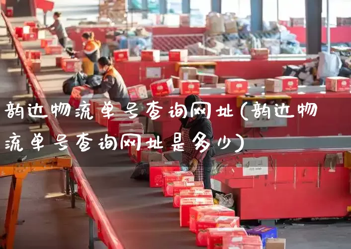 韵达物流单号查询网址(韵达物流单号查询网址是多少)_https://www.senxinmaoyi.com_物流查询_第1张