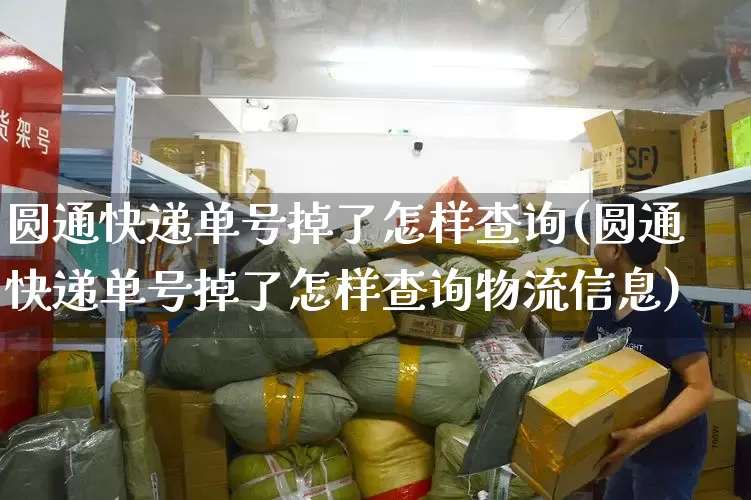 圆通快递单号掉了怎样查询(圆通快递单号掉了怎样查询物流信息)_https://www.senxinmaoyi.com_邮政编码_第1张