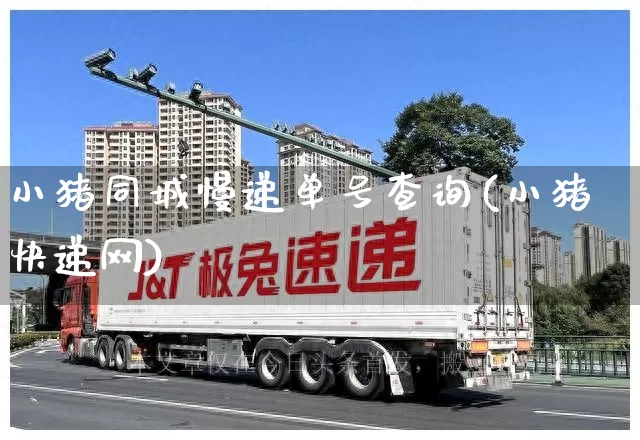 小猪同城慢递单号查询(小猪快递网)_https://www.senxinmaoyi.com_物流单号_第1张