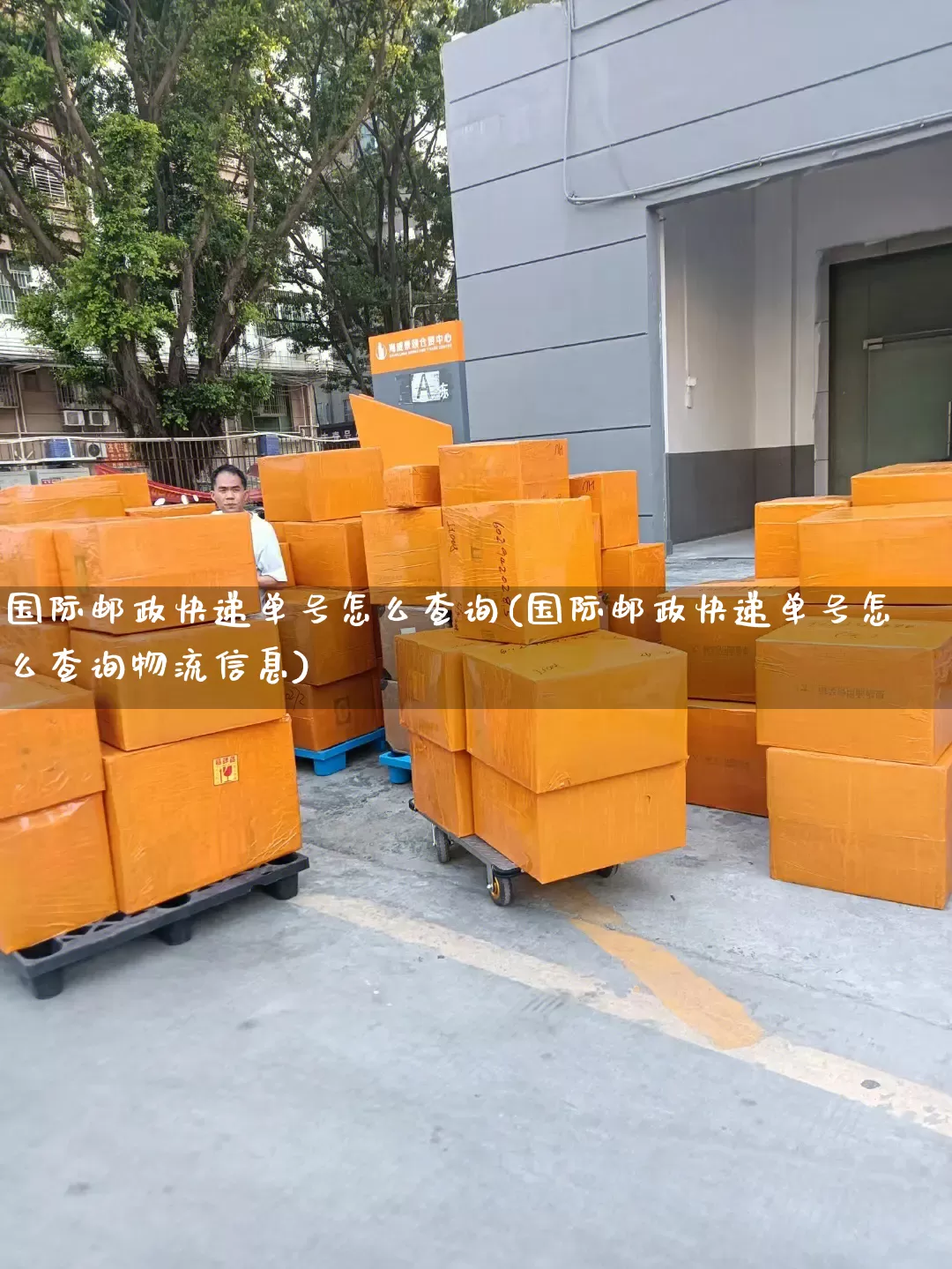 国际邮政快递单号怎么查询(国际邮政快递单号怎么查询物流信息)_https://www.senxinmaoyi.com_物流单号_第1张