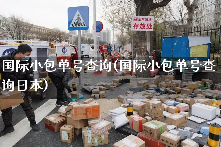 国际小包单号查询(国际小包单号查询日本)_https://www.senxinmaoyi.com_邮政编码_第1张