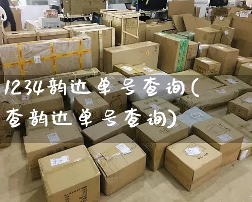 1234韵达单号查询(查韵达单号查询)_https://www.senxinmaoyi.com_物流单号_第1张