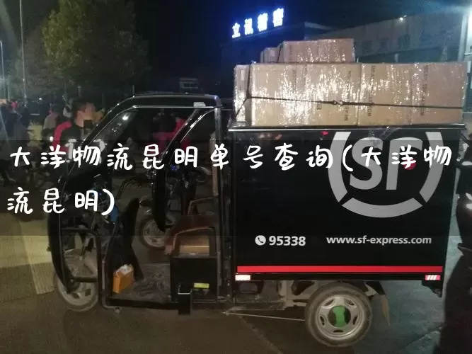 大洋物流昆明单号查询(大洋物流昆明)_https://www.senxinmaoyi.com_物流单号_第1张