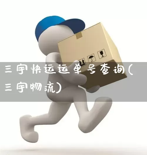 三宇快运运单号查询(三宇物流)_https://www.senxinmaoyi.com_物流查询_第1张
