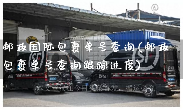 邮政国际包裹单号查询(邮政包裹单号查询跟踪进度)_https://www.senxinmaoyi.com_邮政编码_第1张