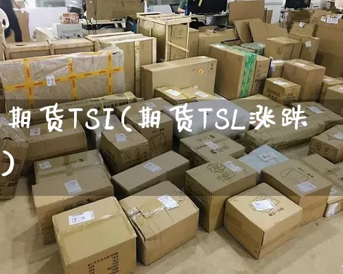 期货TSI(期货TSL涨跌)_https://www.senxinmaoyi.com_物流查询_第1张