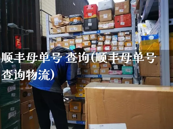 顺丰母单号 查询(顺丰母单号查询物流)_https://www.senxinmaoyi.com_物流单号_第1张