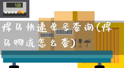 悍马快递单号查询(悍马物流怎么查)_https://www.senxinmaoyi.com_邮政编码_第1张