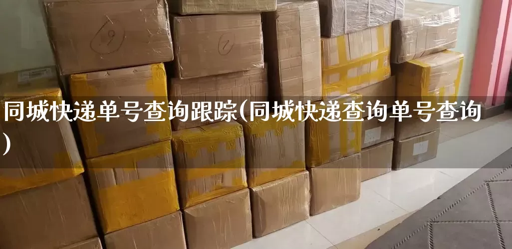 同城快递单号查询跟踪(同城快递查询单号查询)_https://www.senxinmaoyi.com_物流查询_第1张