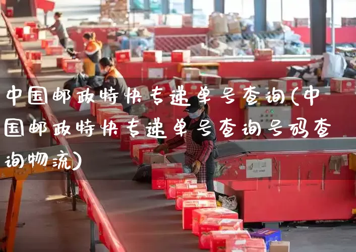 中国邮政特快专递单号查询(中国邮政特快专递单号查询号码查询物流)_https://www.senxinmaoyi.com_物流查询_第1张