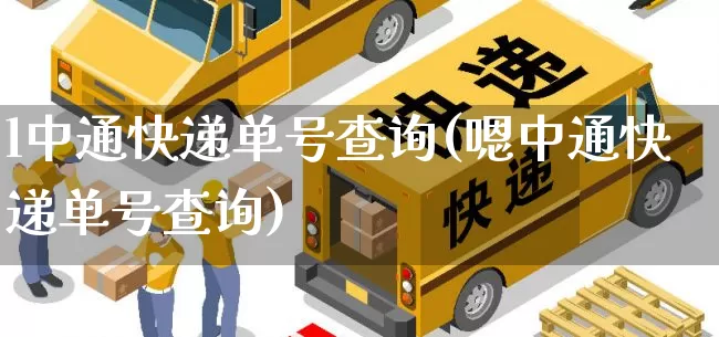 l中通快递单号查询(嗯中通快递单号查询)_https://www.senxinmaoyi.com_邮政编码_第1张