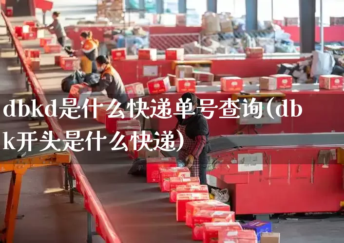 dbkd是什么快递单号查询(dbk开头是什么快递)_https://www.senxinmaoyi.com_物流查询_第1张