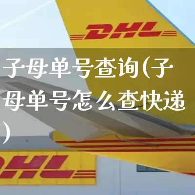 子母单号查询(子母单号怎么查快递)_https://www.senxinmaoyi.com_物流查询_第1张