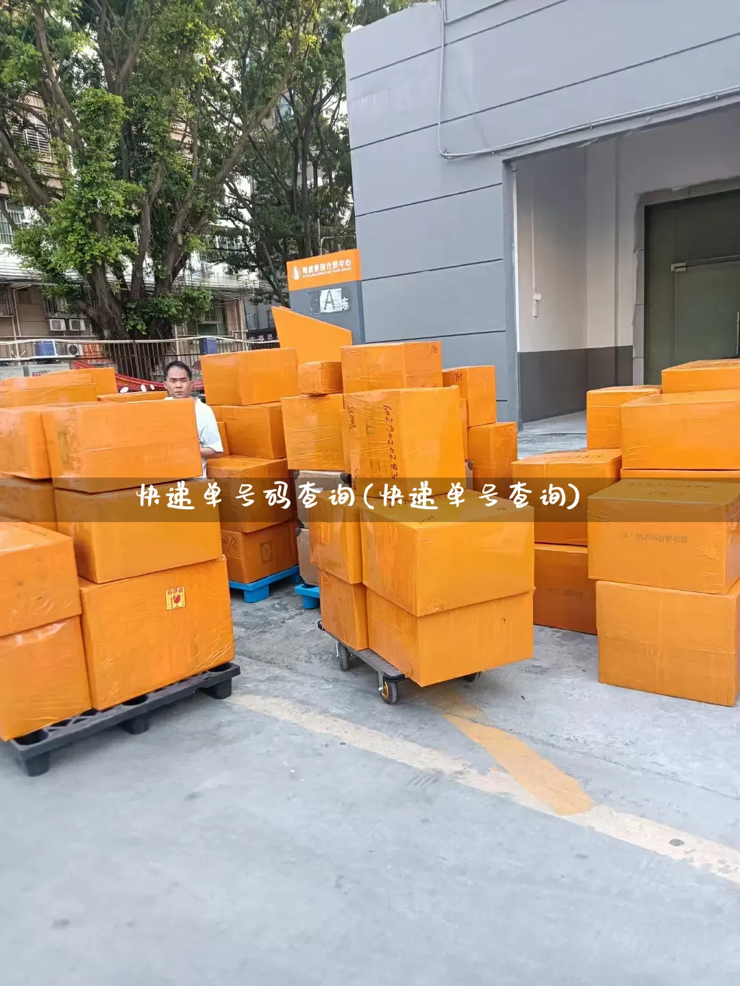 快递单号码查询(快递单号查询)_https://www.senxinmaoyi.com_物流查询_第1张