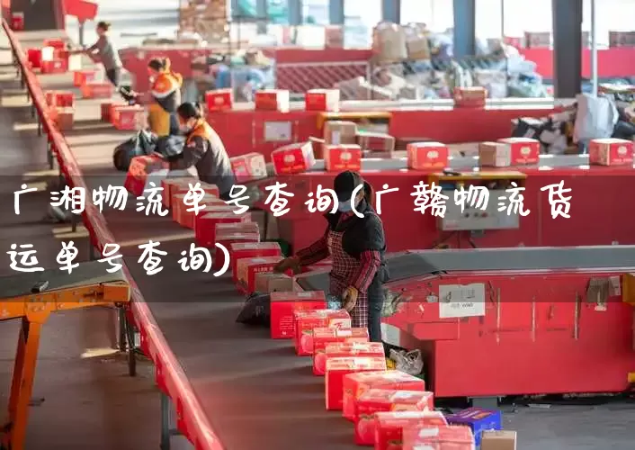 广湘物流单号查询(广赣物流货运单号查询)_https://www.senxinmaoyi.com_物流单号_第1张