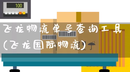 飞龙物流单号查询工具(飞龙国际物流)_https://www.senxinmaoyi.com_邮政编码_第1张