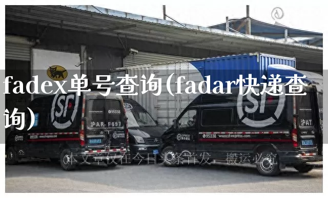 fadex单号查询(fadar快递查询)_https://www.senxinmaoyi.com_快递查询_第1张