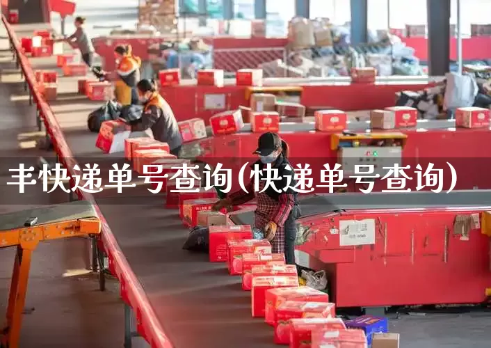 丰快递单号查询(快递单号查询)_https://www.senxinmaoyi.com_邮政编码_第1张
