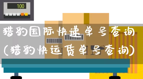 猎豹国际快递单号查询(猎豹快运货单号查询)_https://www.senxinmaoyi.com_邮政编码_第1张