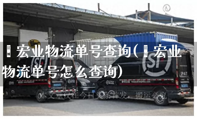 鑫宏业物流单号查询(鑫宏业物流单号怎么查询)_https://www.senxinmaoyi.com_物流查询_第1张