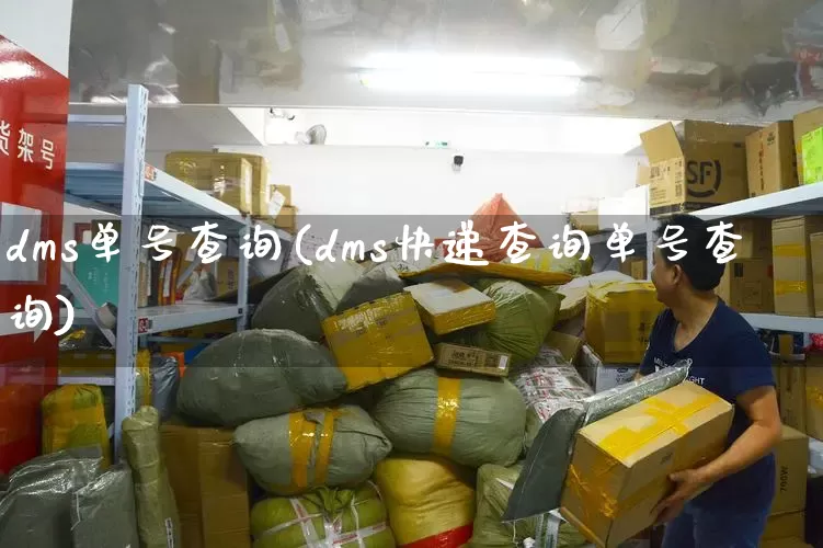 dms单号查询(dms快递查询单号查询)_https://www.senxinmaoyi.com_快递查询_第1张