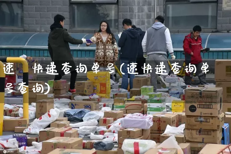 速驣快递查询单号(速快递查询单号查询)_https://www.senxinmaoyi.com_物流单号_第1张