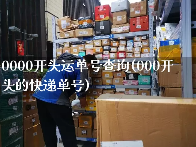 0000开头运单号查询(000开头的快递单号)_https://www.senxinmaoyi.com_物流单号_第1张