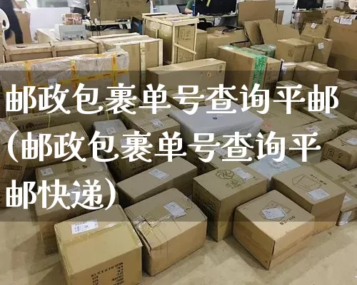 邮政包裹单号查询平邮(邮政包裹单号查询平邮快递)_https://www.senxinmaoyi.com_物流单号_第1张