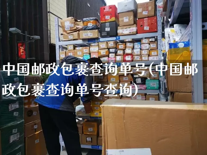 中国邮政包裹查询单号(中国邮政包裹查询单号查询)_https://www.senxinmaoyi.com_快递查询_第1张