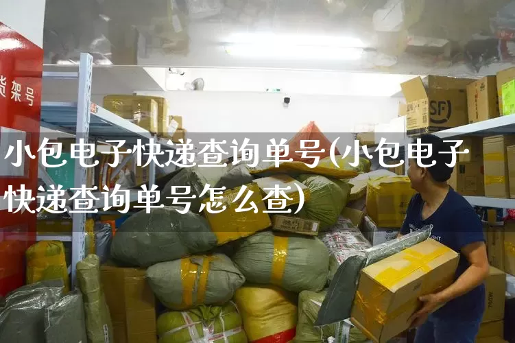 小包电子快递查询单号(小包电子快递查询单号怎么查)_https://www.senxinmaoyi.com_物流单号_第1张