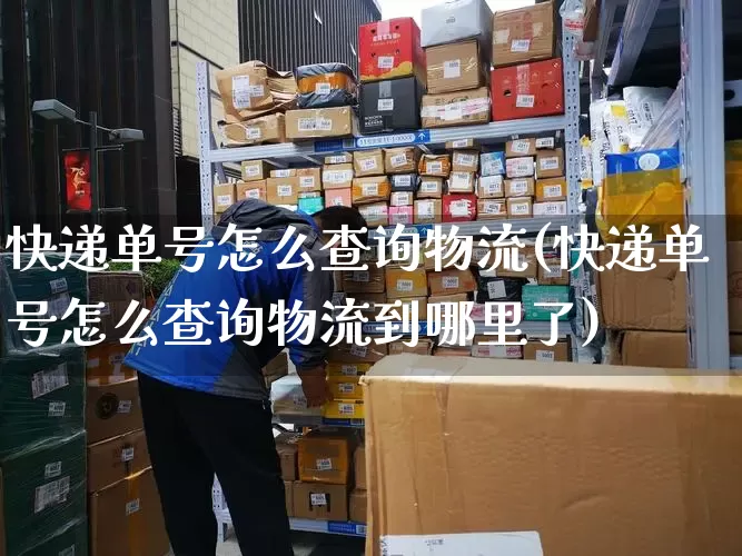 快递单号怎么查询物流(快递单号怎么查询物流到哪里了)_https://www.senxinmaoyi.com_物流单号_第1张