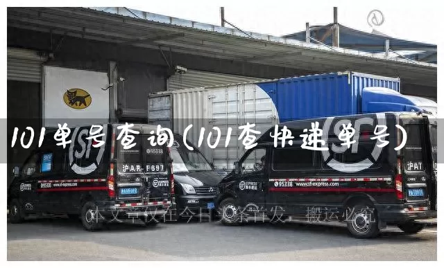 101单号查询(101查快递单号)_https://www.senxinmaoyi.com_物流查询_第1张