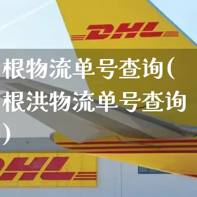 根物流单号查询(根洪物流单号查询)_https://www.senxinmaoyi.com_快递查询_第1张