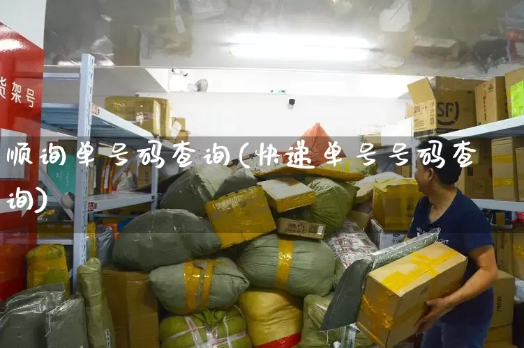 顺询单号码查询(快递单号号码查询)_https://www.senxinmaoyi.com_物流单号_第1张