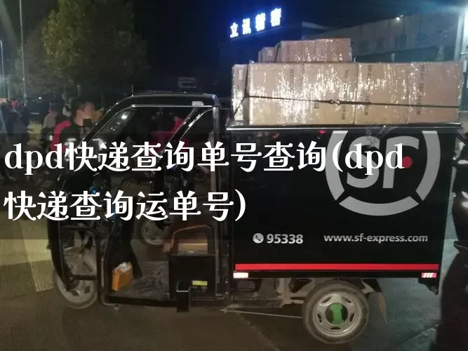 dpd快递查询单号查询(dpd快递查询运单号)_https://www.senxinmaoyi.com_快递查询_第1张